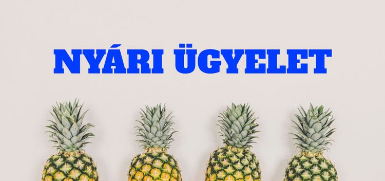 NYÁRI ÜGYELET